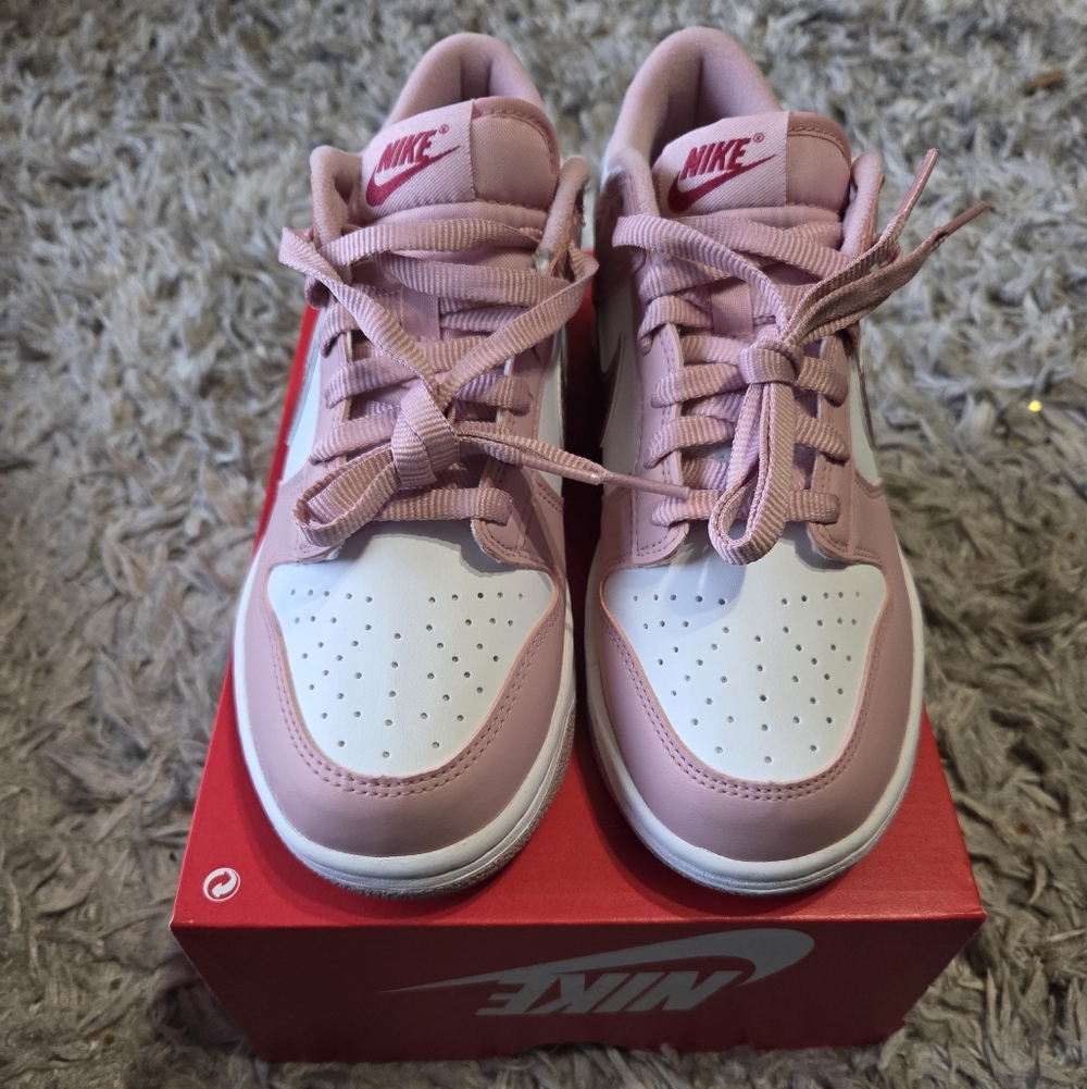 Nike Dunks Velvet